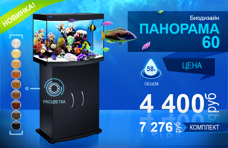 Биодизайн__ ПАНОРАМА_60.png