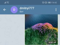 Telegram бот для свадьбы